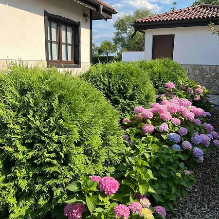 Garden 2 Bedroom With Pool Near To Sunny *